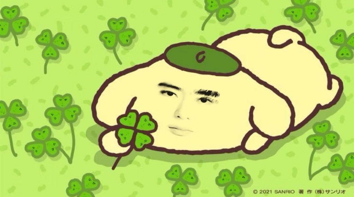 突然发现我🎺的qz还可以