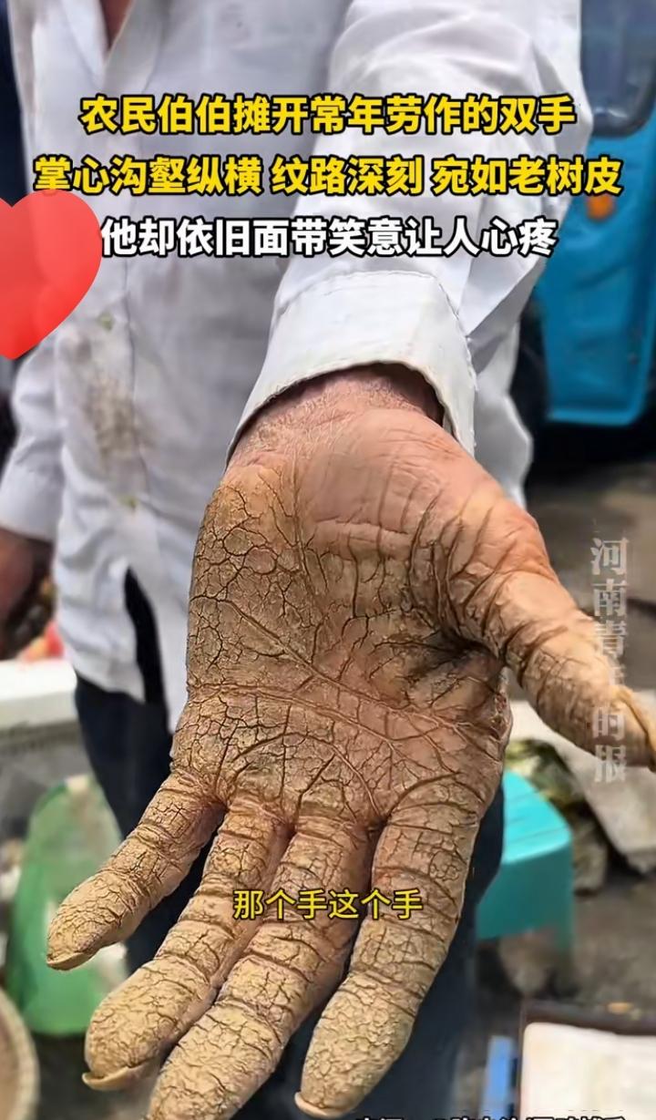 今天听到一句震惊的话——大钱都是大风刮来的！