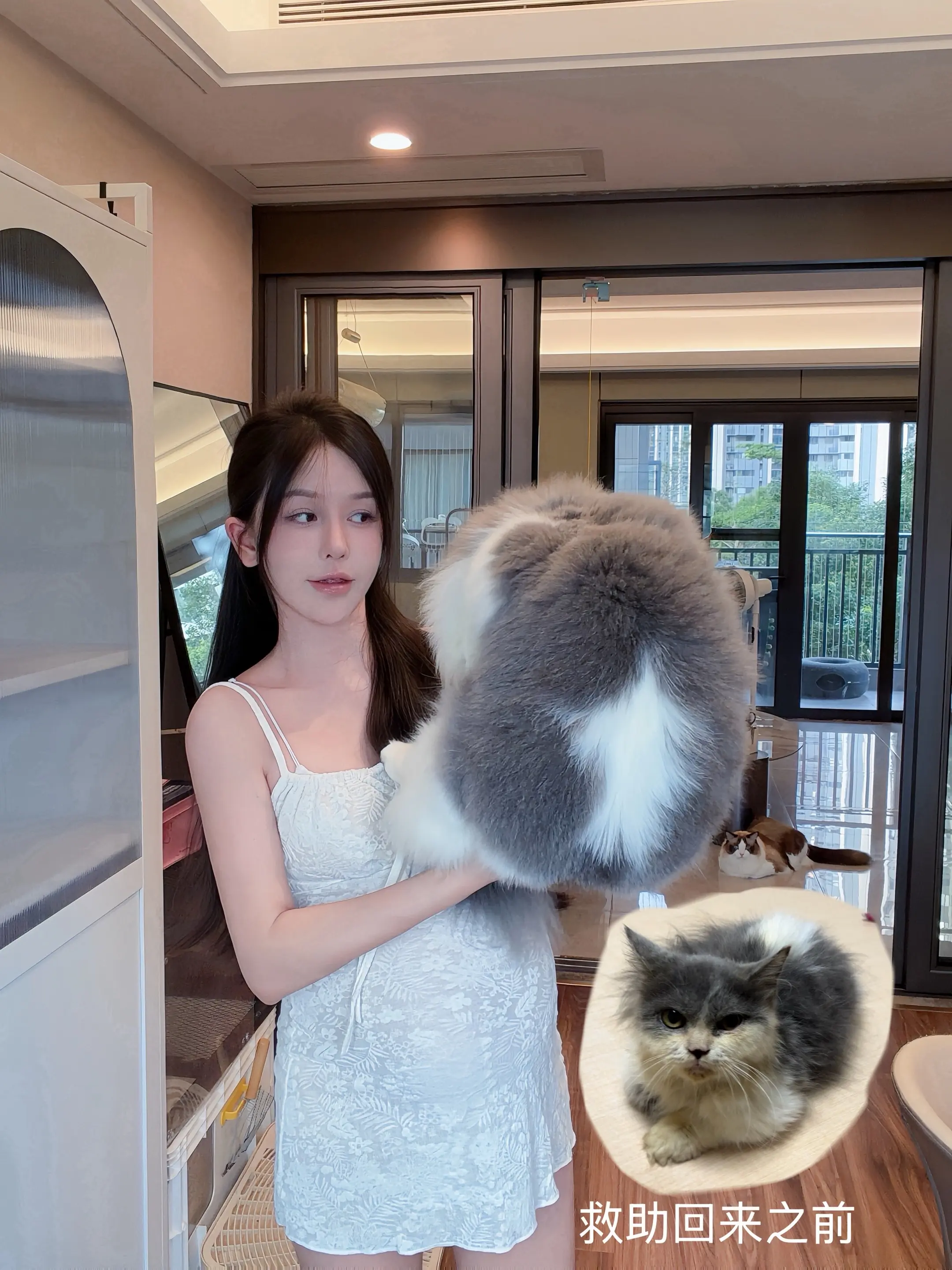 怀孕真的不能养猫吗 可是我还养了6只耶