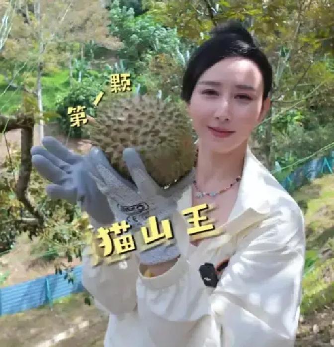 下次看到胡静夫妇摘榴莲，别再只盯着豪门八卦了。他们悄悄改写了游戏规则。