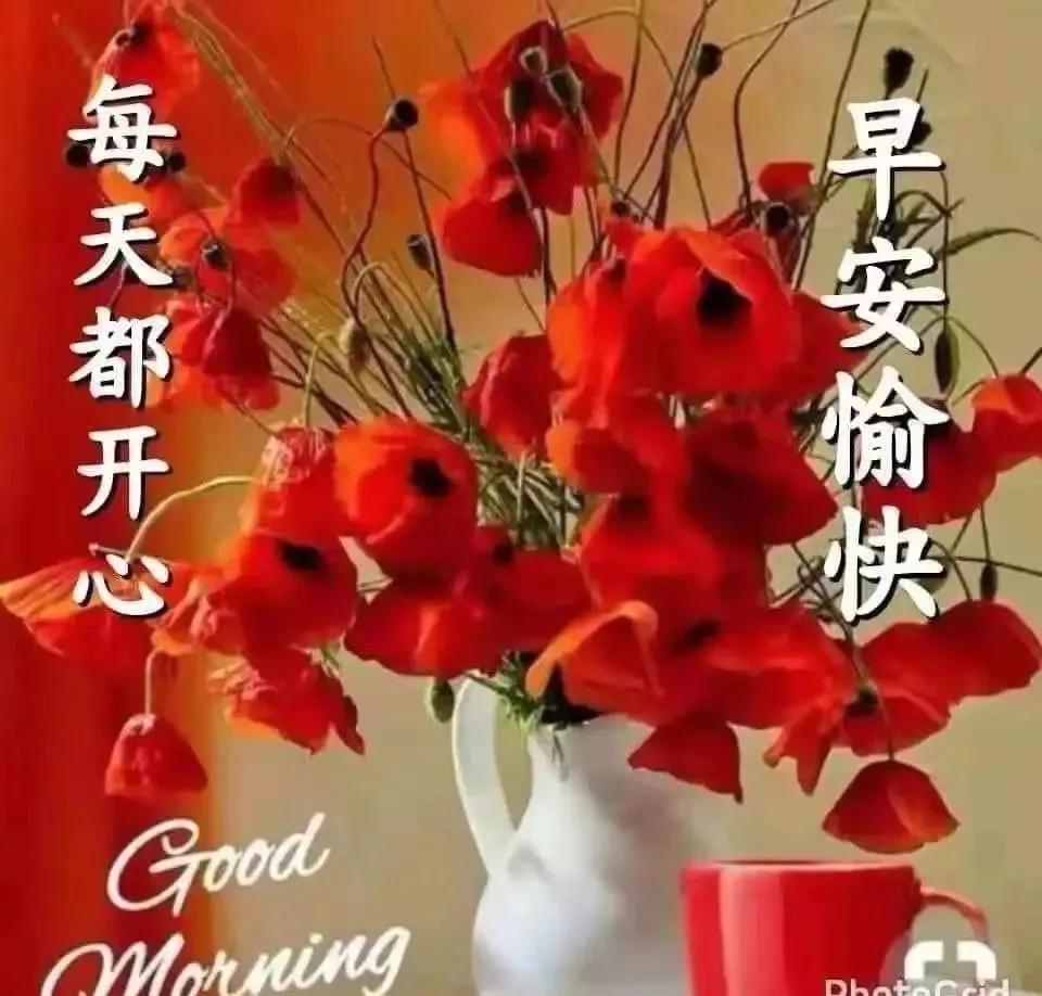 早安！新的一天，充满无限可能。迎接阳光，心怀希望，用微笑开启每一个清晨。无论昨天