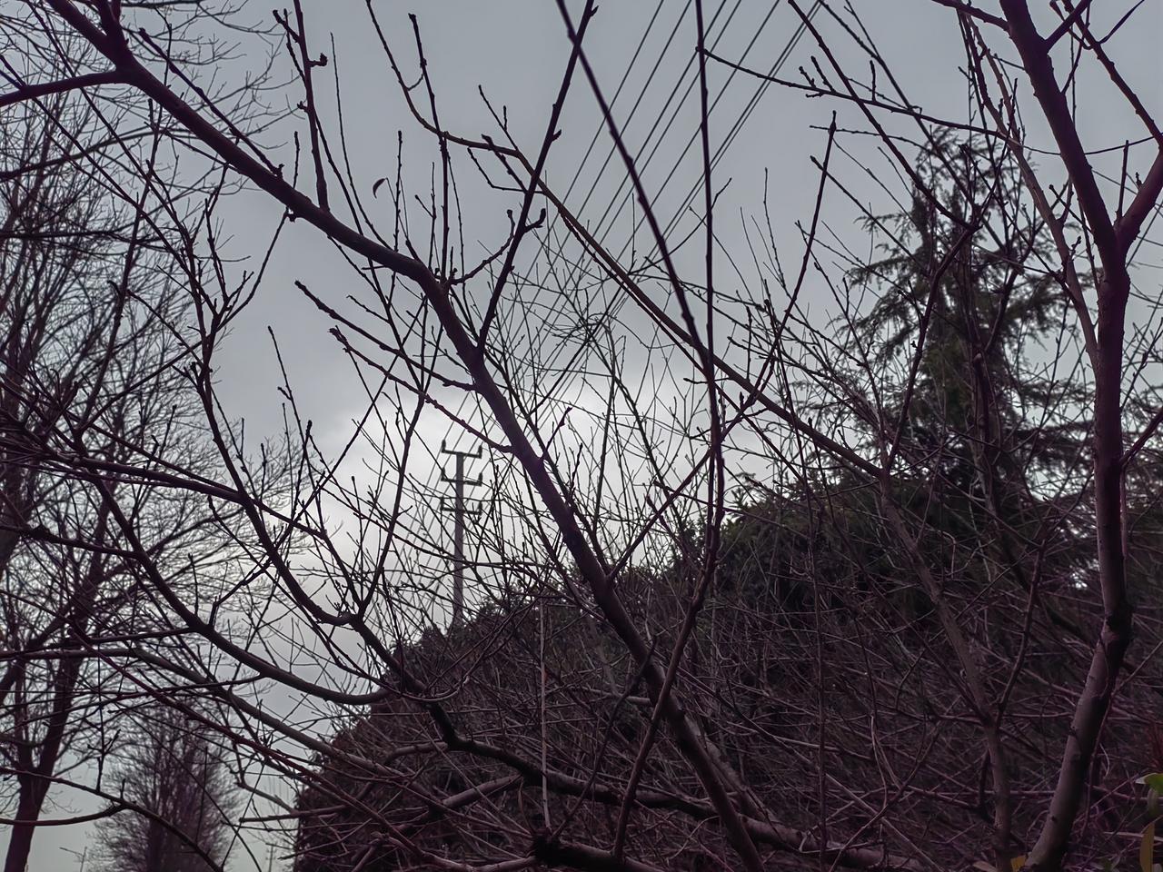 魏忠贤炙手可热时，崇祯突然被遗诏为皇位接班人，此前崇祯没想到、魏忠贤也没有把崇祯