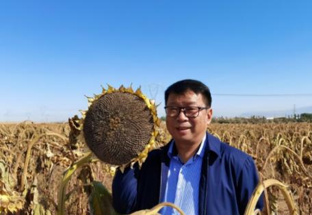我国工程界大乌龙事件！2009年，重庆交通大学教授易志坚在研究物质力学时，意外