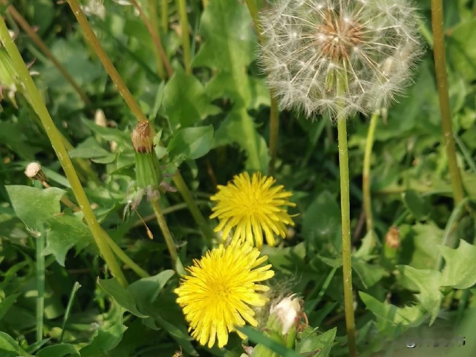 一位婆婆，用她十几年的经历总结了一句话：婆婆对儿媳妇再好也没有用，即使你把她当