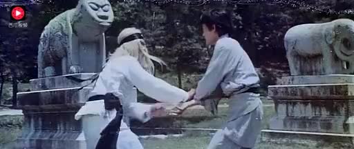 香港武打片太极阴阳拳国语版 太极阴阳拳武打片
