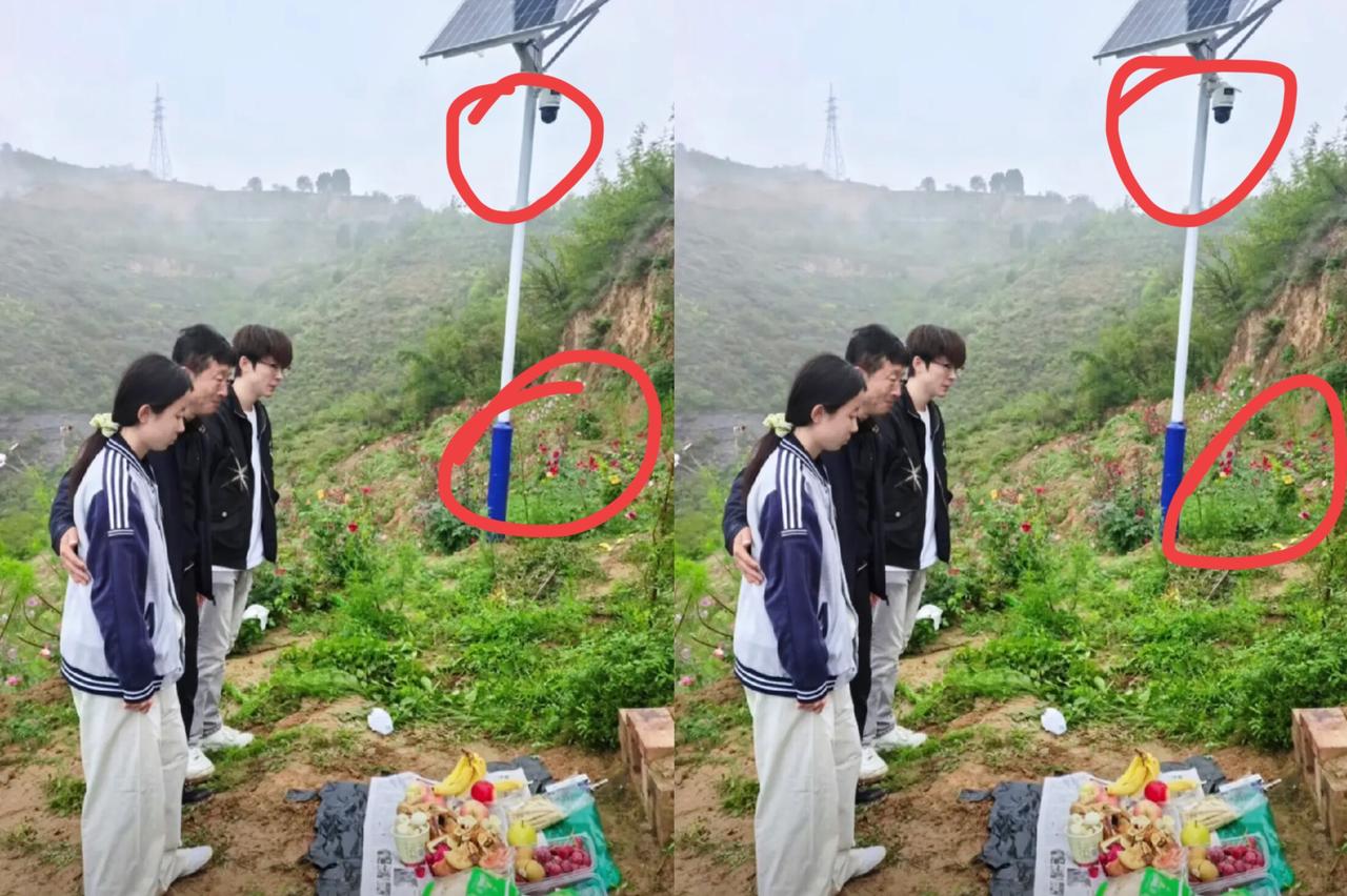 总听人说爱要大声说，可这个男人偏不——他把对妻子的念想，全种进了花里、亮在了