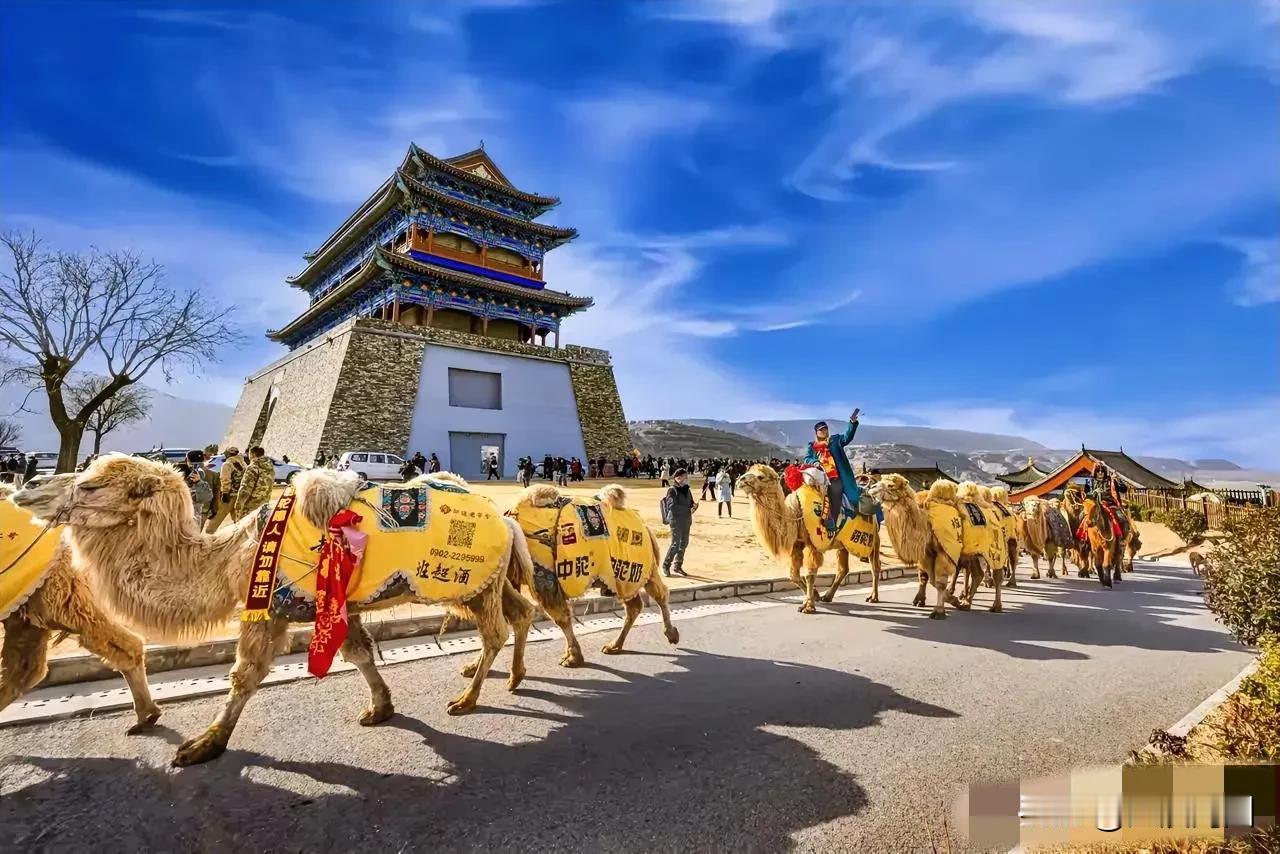 哇哦！东天山驼队重走古丝绸之路这事儿简直酷毙了！那阵阵驼铃，好似有一种神奇的魔力