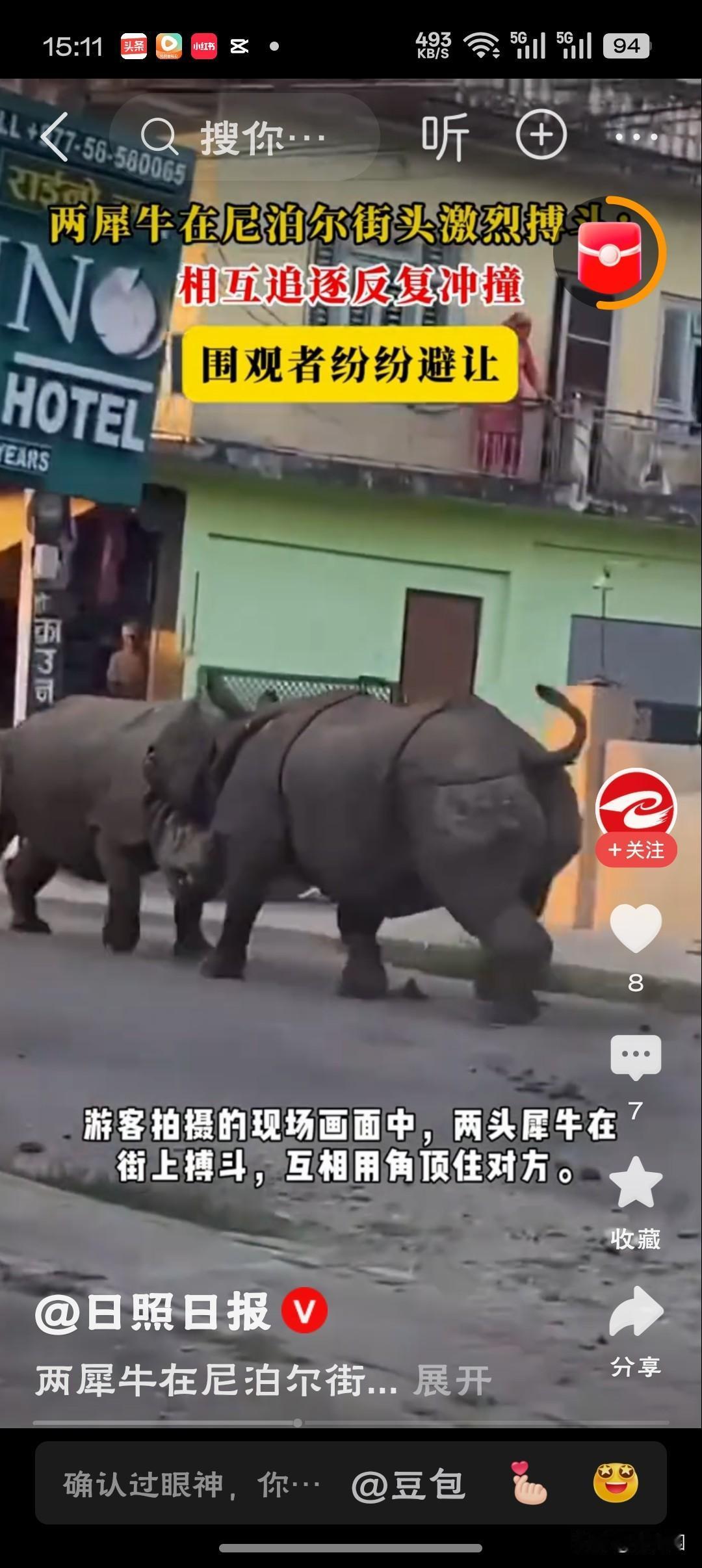 两犀牛在尼泊尔街头激烈搏斗“这哪里是街头搏斗，分明是两尊‘国宝’在早高峰给大伙儿