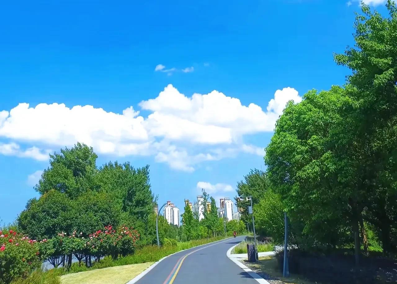 飞机上，乌鸦对空姐说：“给爷来杯水。”猪听到后，也对空姐说：“