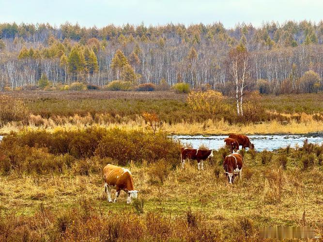 消息一览：1. 立讯精密：公司800G硅光模块实现量产，1.6T产品正进行客户验