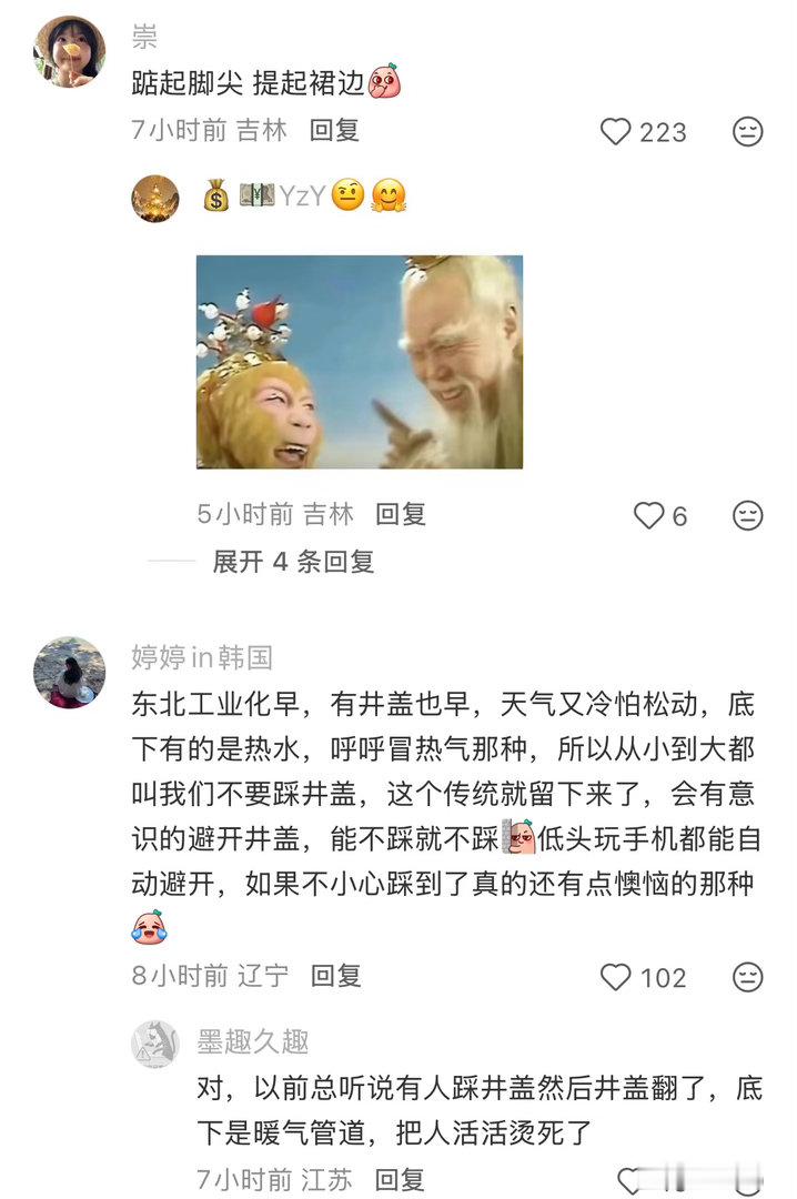 陷害东北人来的​​​