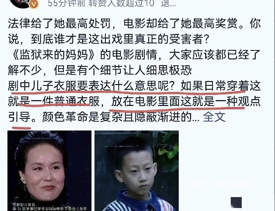 越深挖越惊心！网友扒出《监狱来的妈妈》里，儿子衣服竟印着某国国旗，这哪是普通