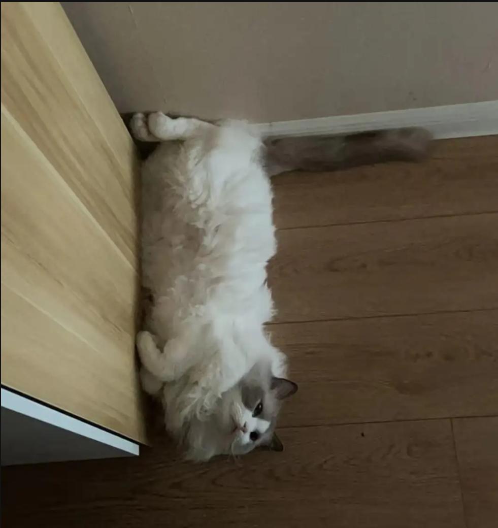 装修遇蠢人，差点把家砸成废墟！亲爱的朋友们，看了网友讲述的亲身经历后，我心有余