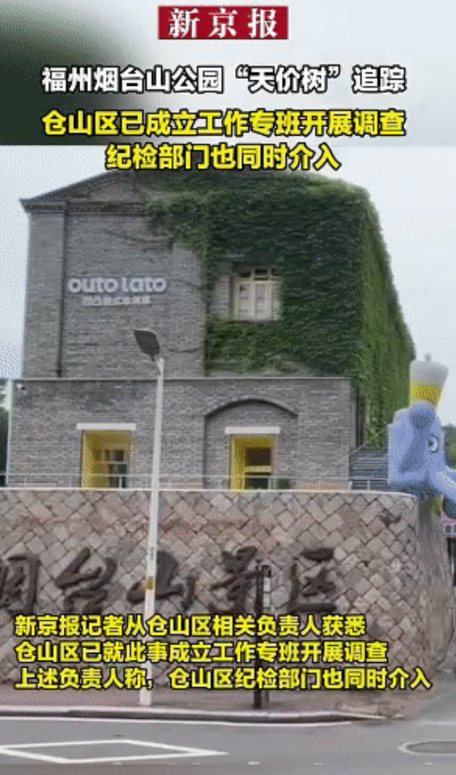 毒贩看了都流泪，网传福州天台山公园“天价树”，一颗黑松采购价发票金额77.6万元