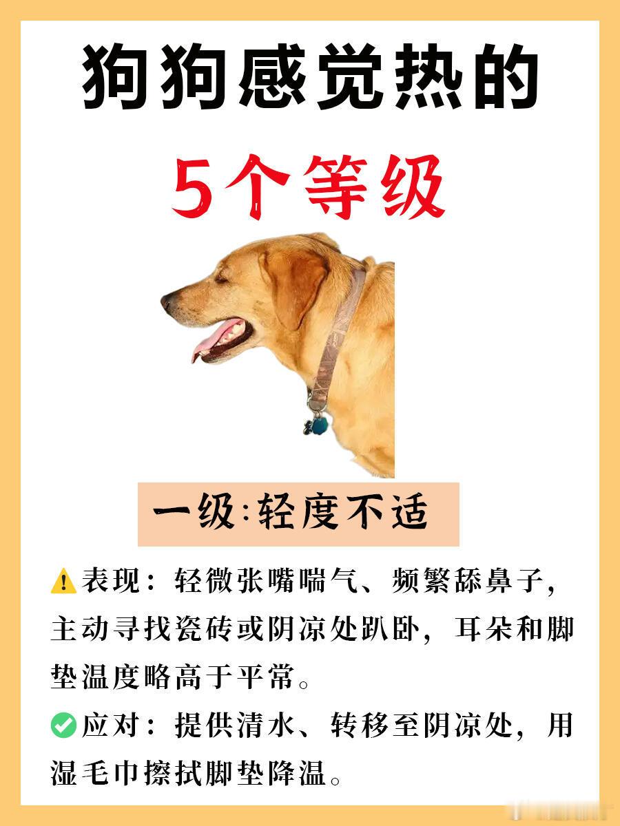 狗狗感觉热的5个等级对于大多数的狗狗来说，对于寒冷的忍耐力远远超过对炎热