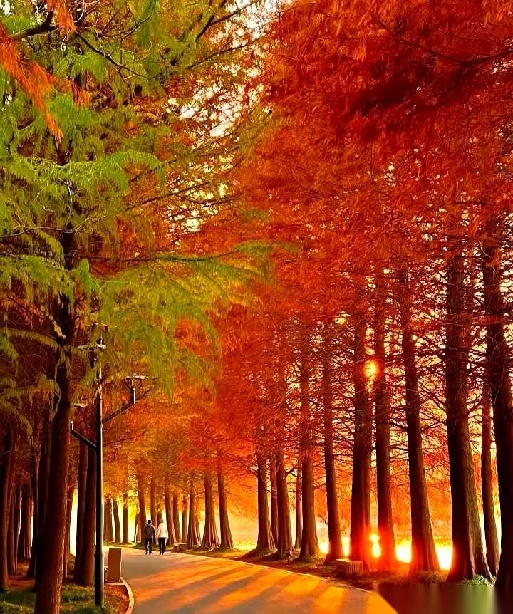 3点钟的会议通知弹出来，3点15，老王就抱着箱子走向了电梯。他在公司12年，所有