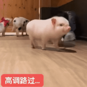分享图片