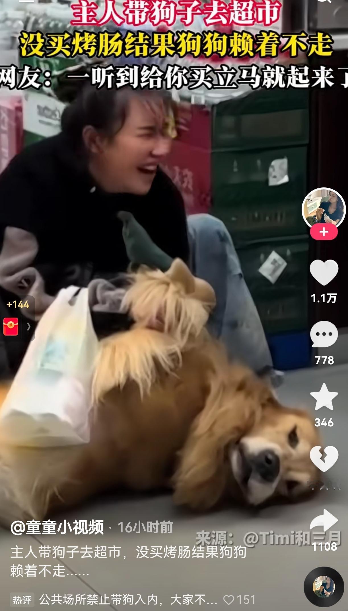 都是惯的！一女子带狗狗去超市购物，狗狗想要吃烤肠，女子没有给它买，它竟然这样做。