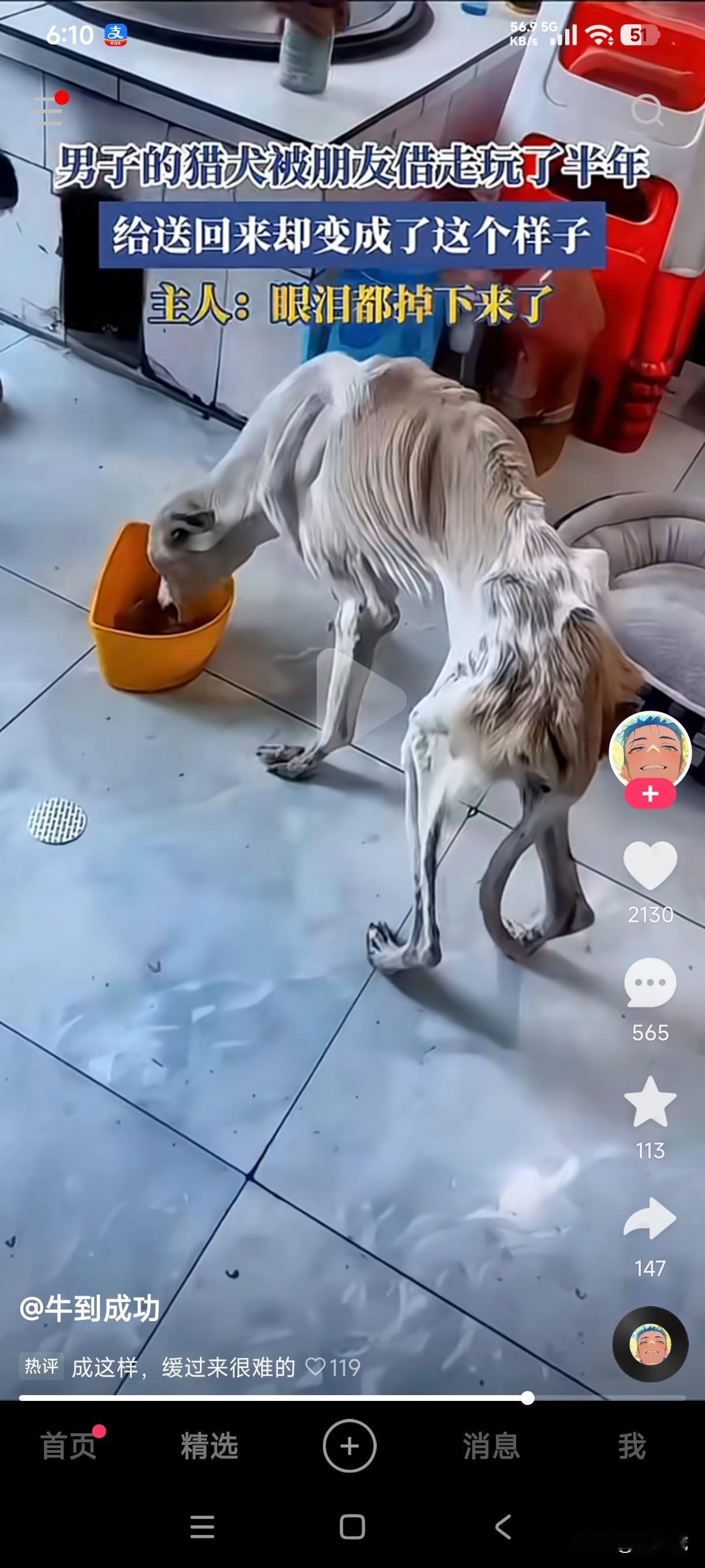 男子把猎犬借给朋友玩了半年，送回时男子看到心爱的猎犬瘦的皮包骨，瞬间眼泪掉了下来