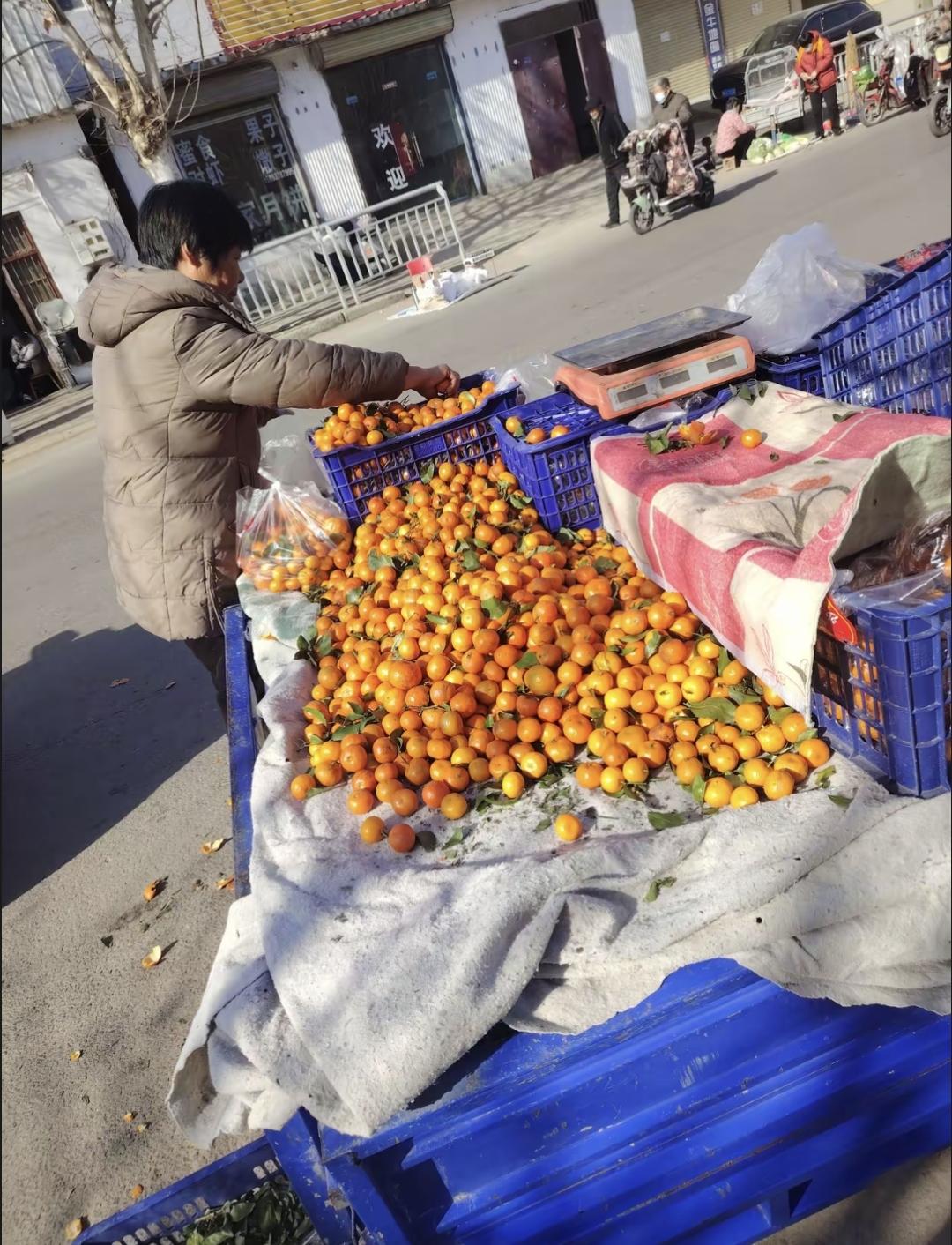 夕阳红去工地打工，结果项目停了，卡了一个月都没找到活。实在没办法，咬咬牙拿出点钱