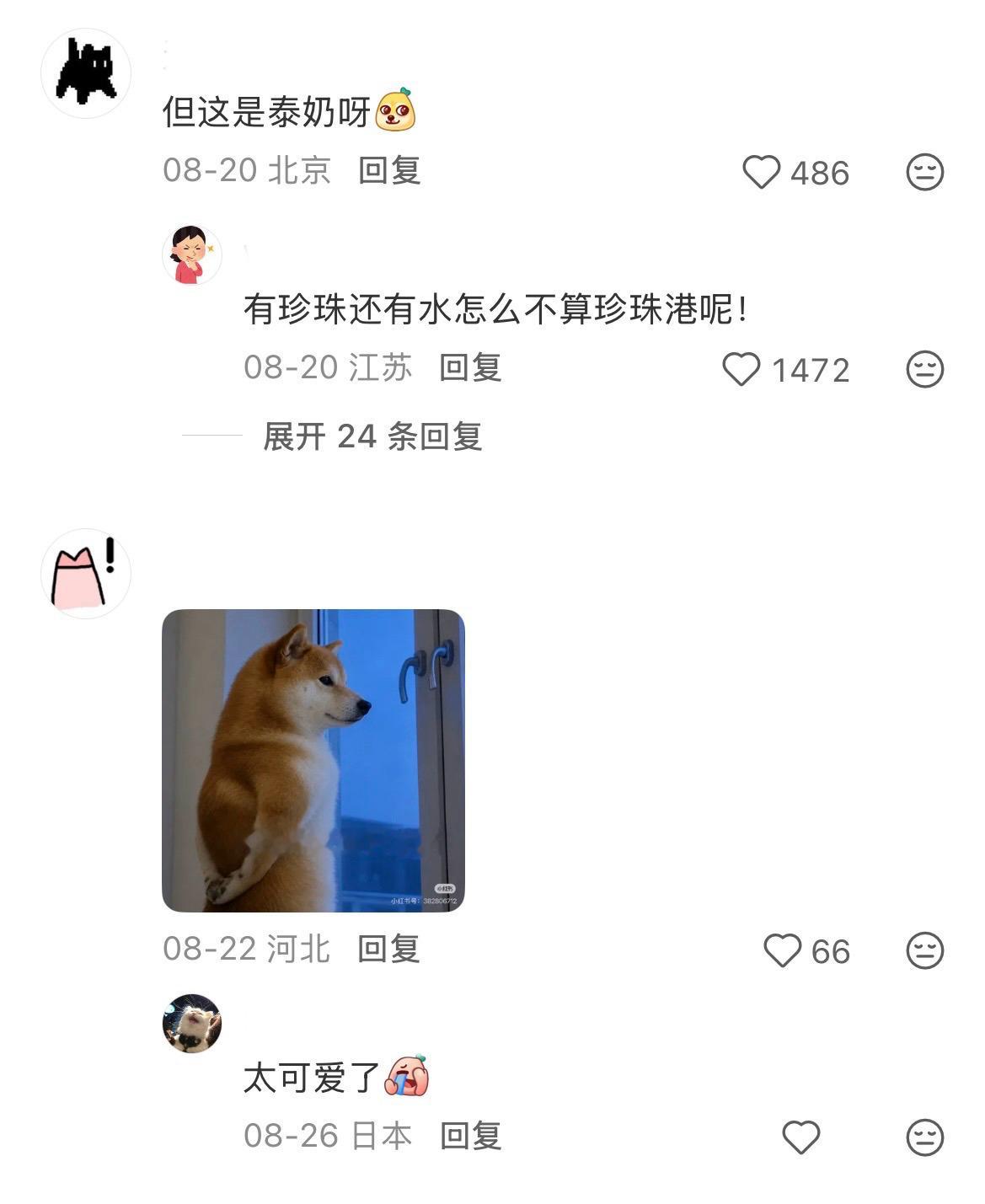 新闻学毕业了🎓​​​