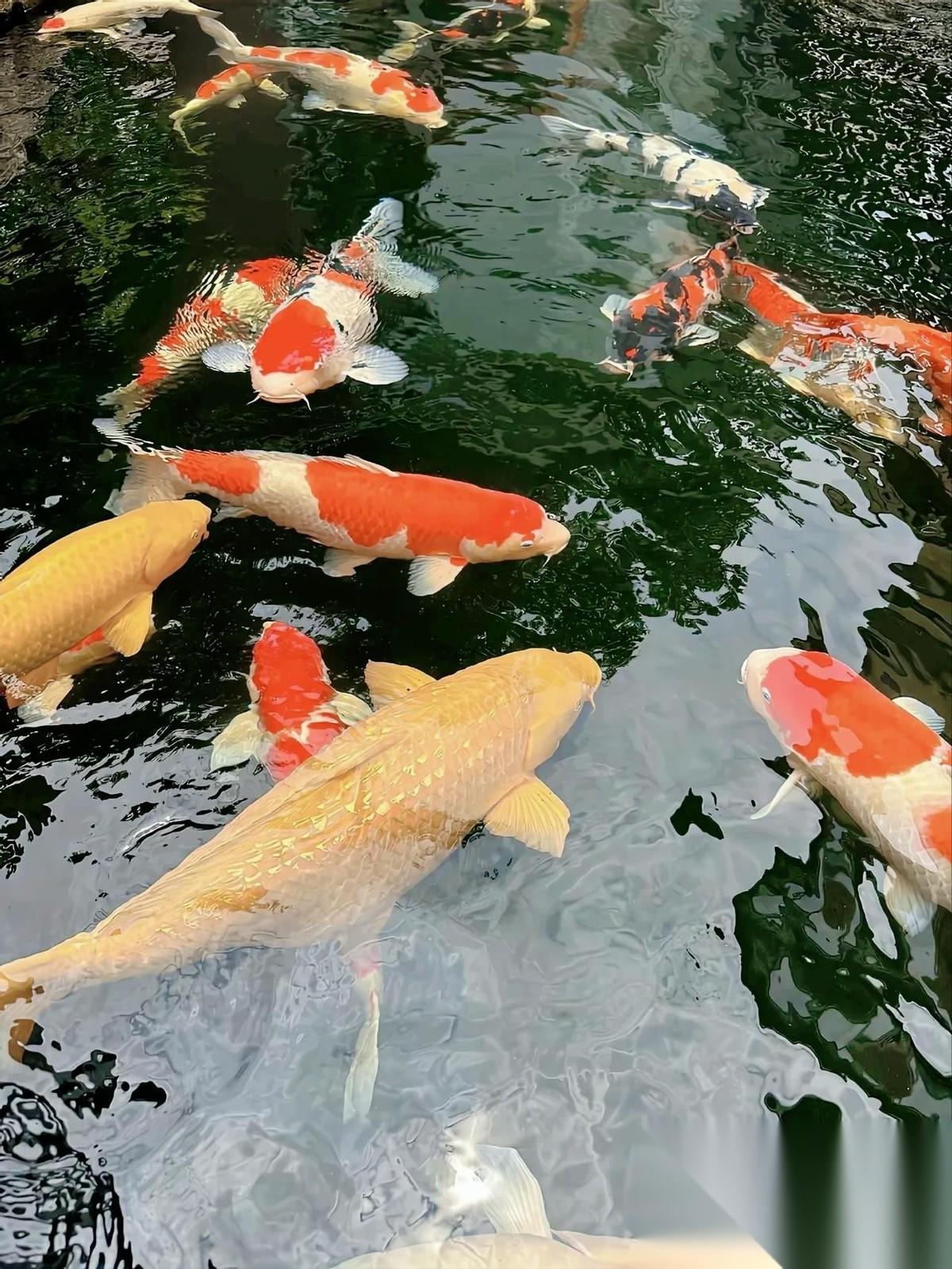原来旺自己是有玄学的，这些大智慧狠狠记住1.经常贬低你的人，断。2.常年不穿的