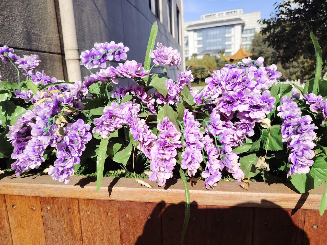 有些领导，毫不体恤，下属疾苦。有个公园，曾有一个，保洁组长。她的母亲，得病住院，