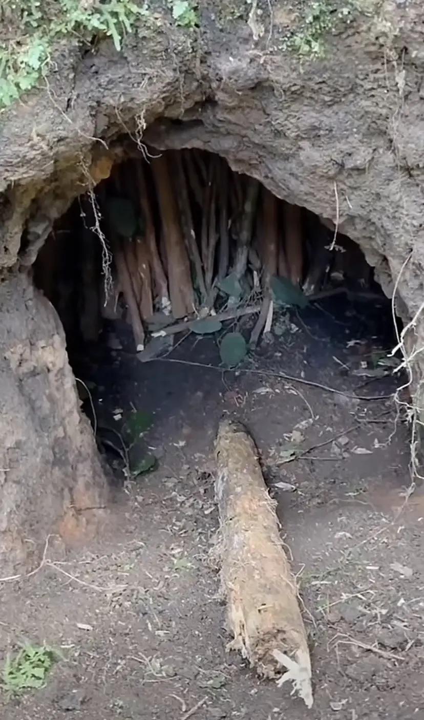 广西选手在荒野求生里烧炭过冬，这老技能直接把主办方干到怀疑人生！在所有游戏中