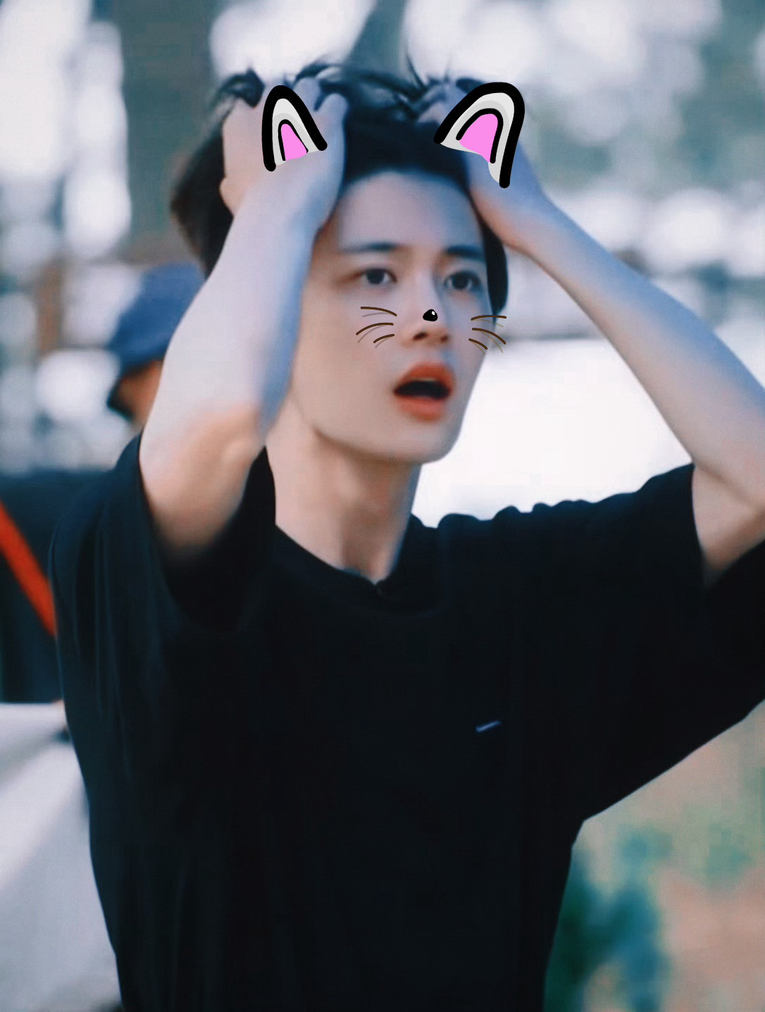 可爱小猫任嘉伦