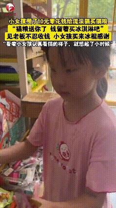 “看哭了！”河北，小女孩攒了10元零花钱去给流浪猫买猫粮，老板得知女孩的举动后说