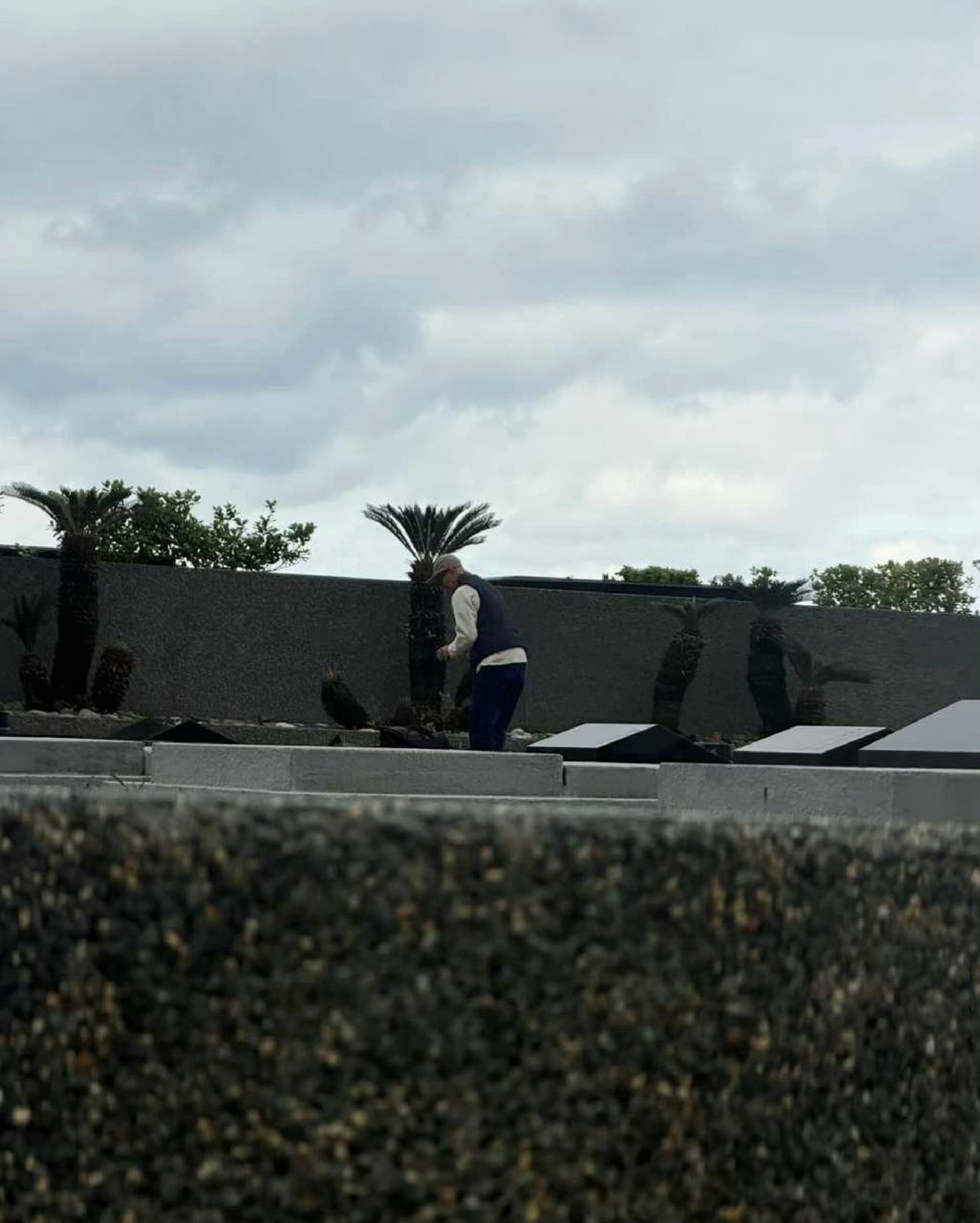 具俊晔新年赴墓地陪伴大S网友1月3日偶遇具俊晔宝金山陪伴大S，他没有什么说话的欲