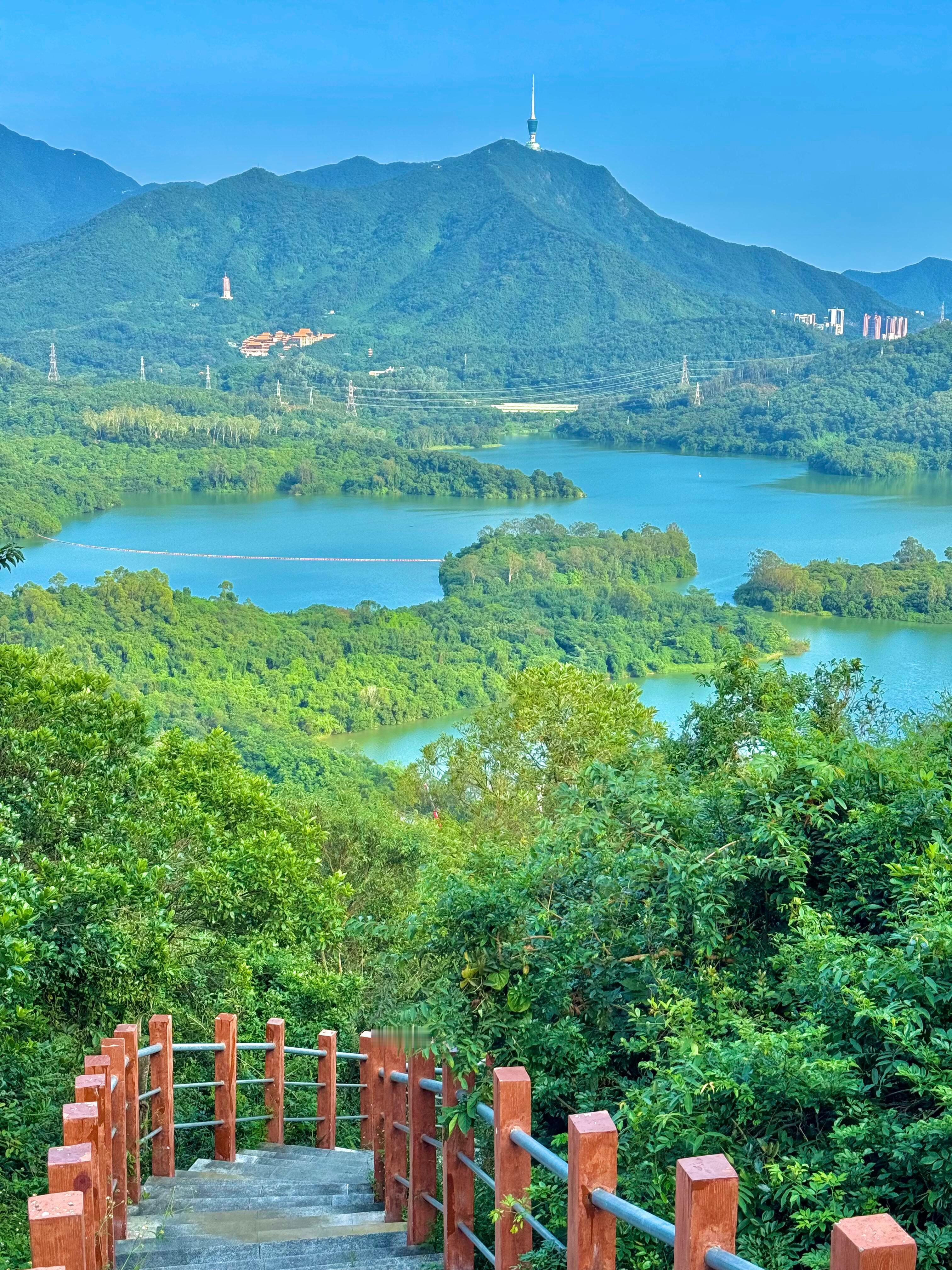 深圳好玩的地方都是免费的你们还去过哪些地方呢？深圳蕞好玩的地方都是免费的！附拍