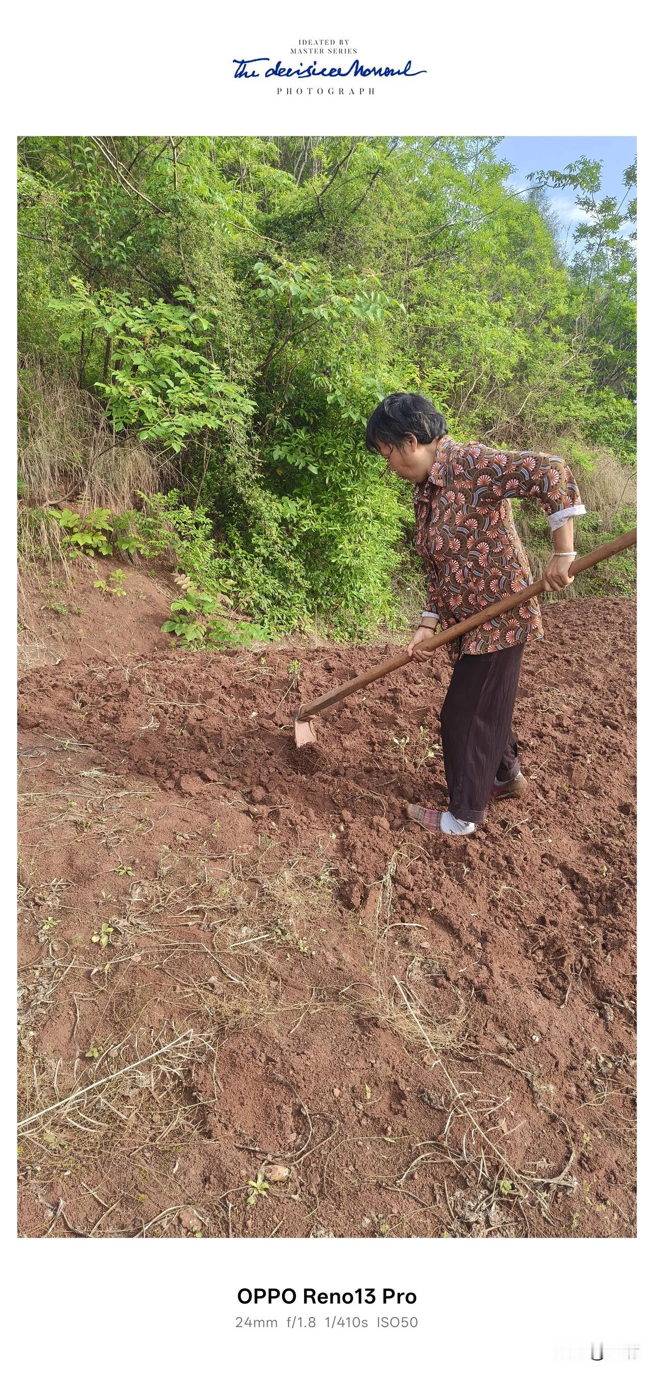 一连几天的雨，地里已经湿漉漉的了，今日天放晴，正是种花生的好时间！种花生干农活