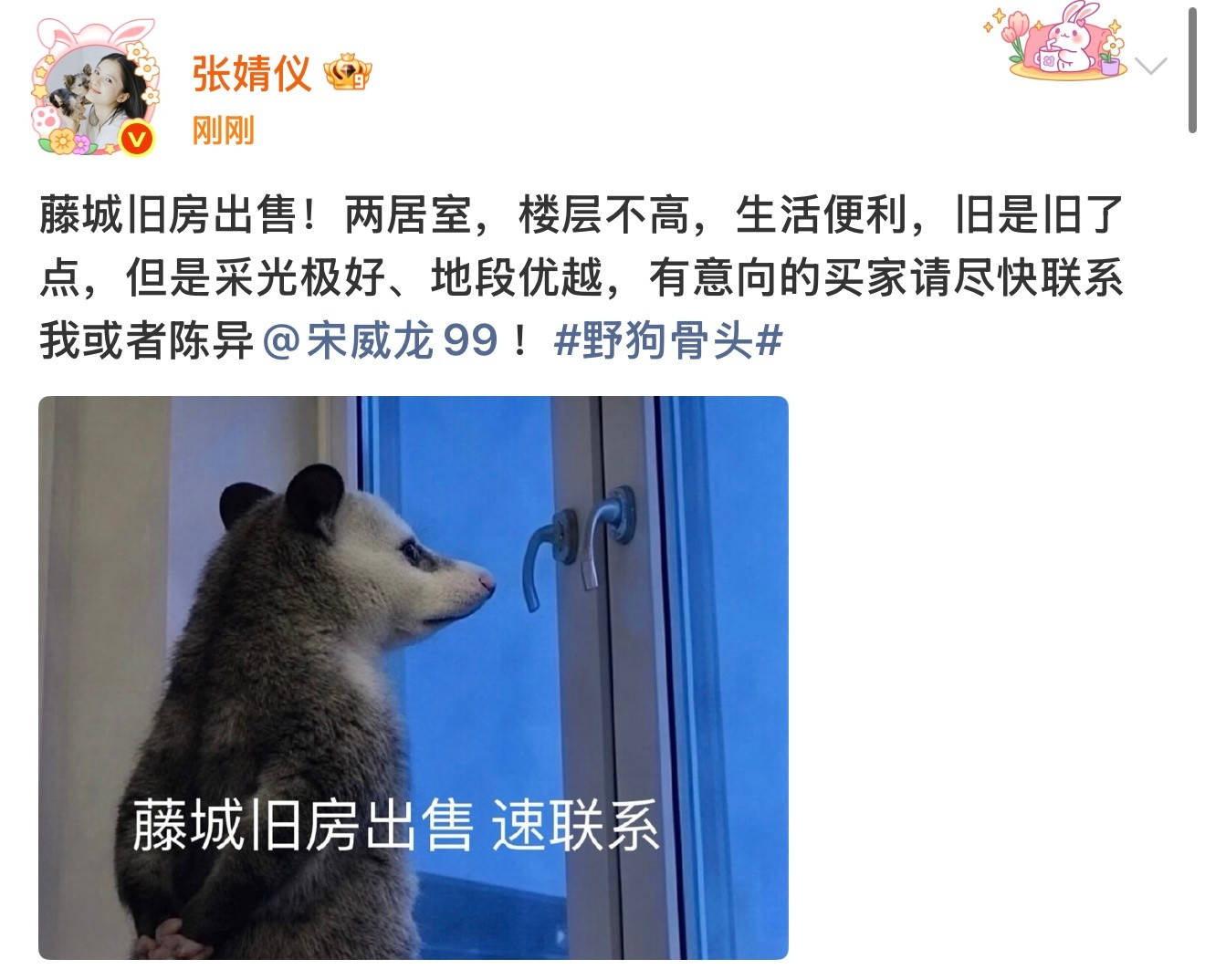 这家谁说了算一目了然野狗骨头