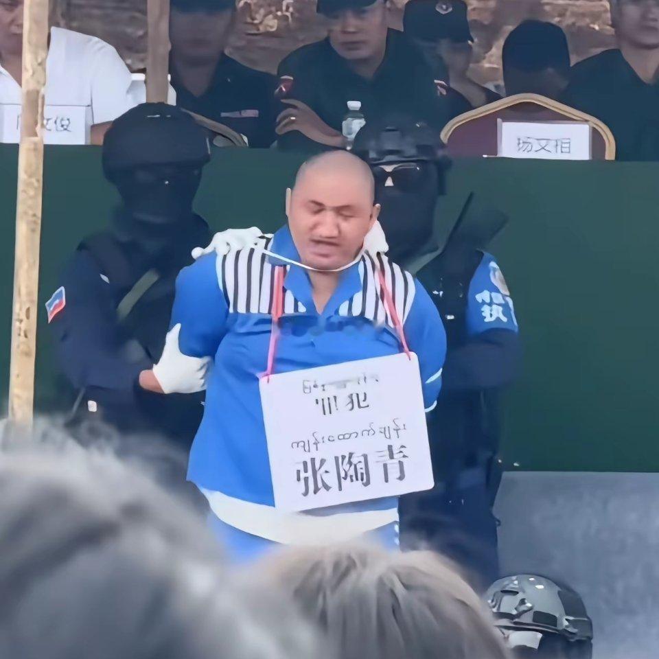 缅甸张陶青不服判决，事已至此不服也不行了，自己被击毙了