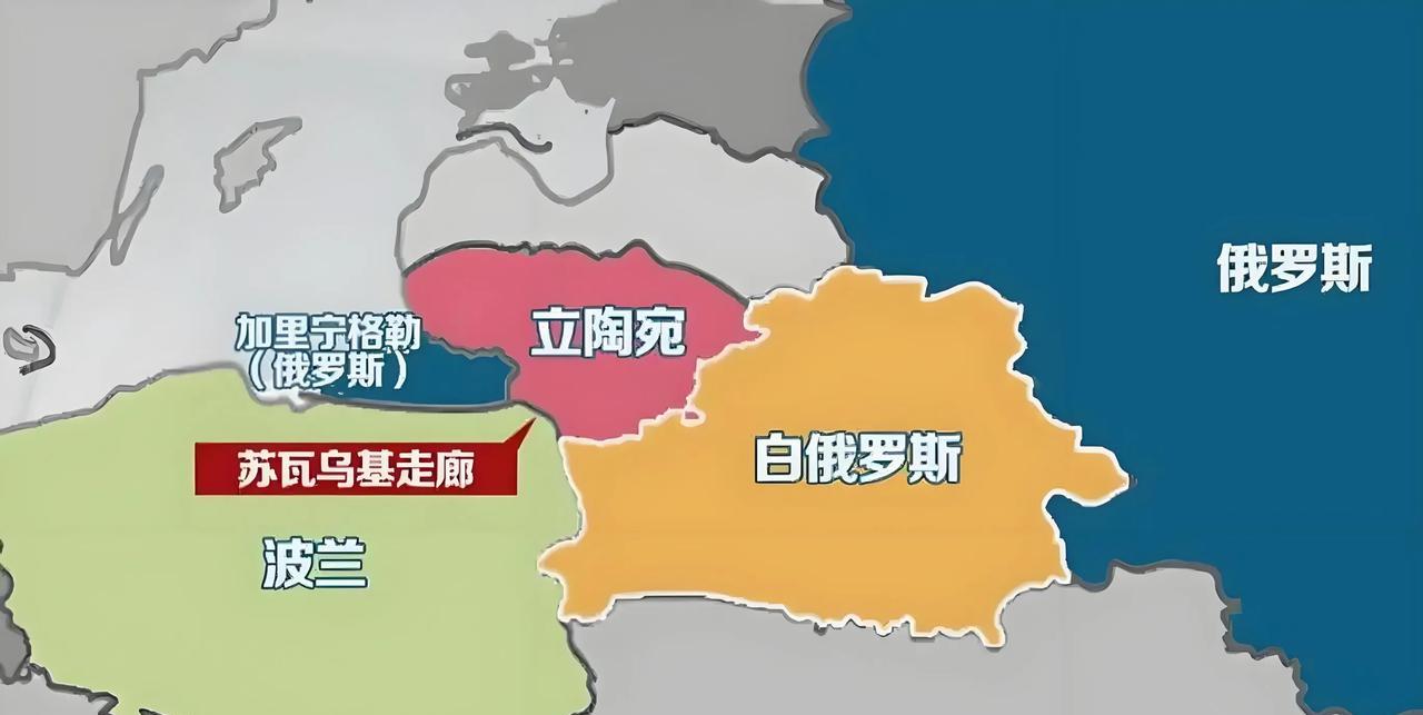 弹丸小国立陶宛再作妖！退出禁雷公约欲埋地雷防俄，网友：种地瓜雷自断后路？