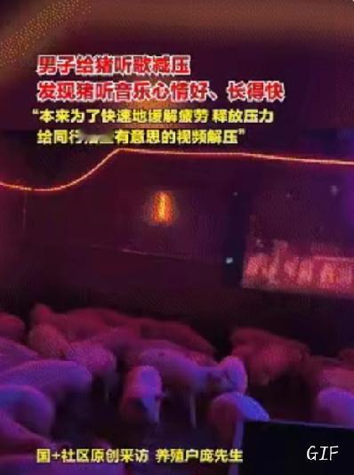 桂林有个养猪的庞先生，嫌天天喂猪太无聊，干脆花3000块在猪舍装了套KTV：音响