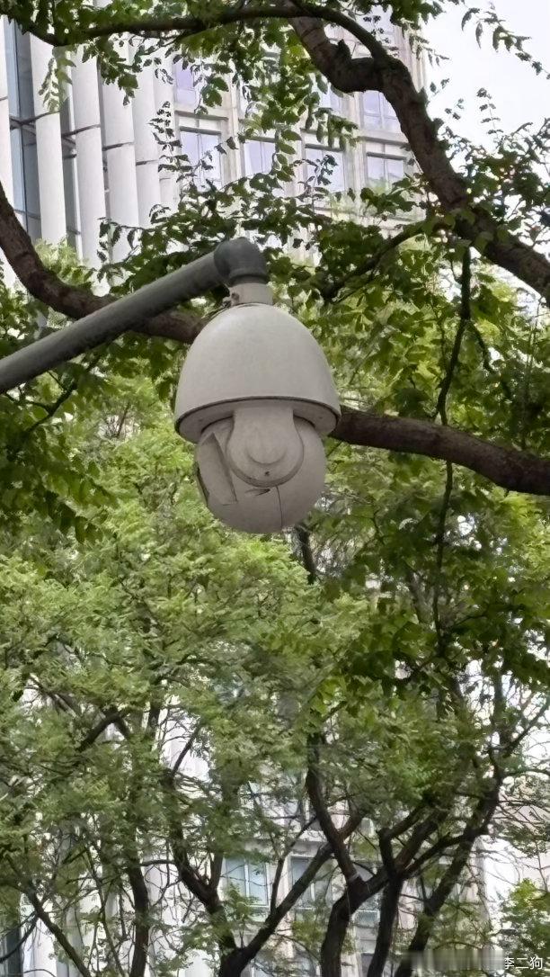 发现一个微笑娃娃