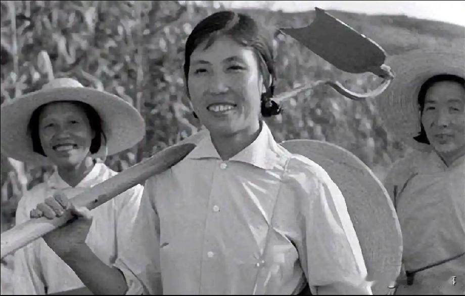 人代会上，看到郭凤莲同志有个发言，说大寨二O二四年缴纳国家利税一千四百万元，社员