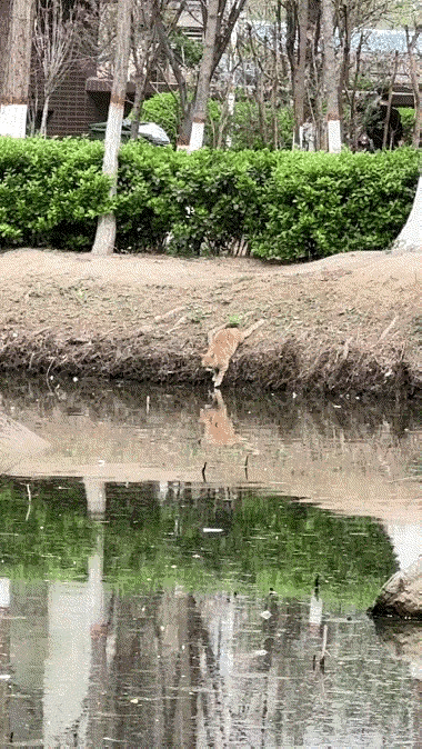 这个糟老头子坏得很～