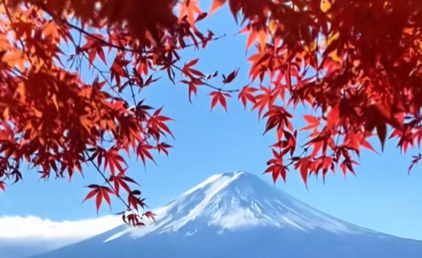 都说娶妻娶闲一个好女人旺三代可惜我命苦遇到的是一个恶婆婆真的是毁三代