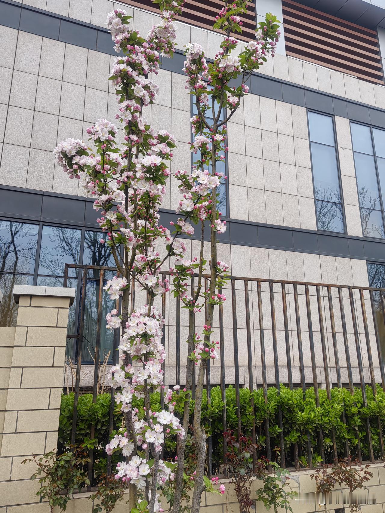 老天让你突然生病了，是在提醒你。一个人是不会无缘无故生病的，你以为