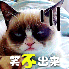 昨晚的酒店真是烦死了，几乎没睡过。这隔音为什么会这么差？感觉门什么的挺厚的啊！