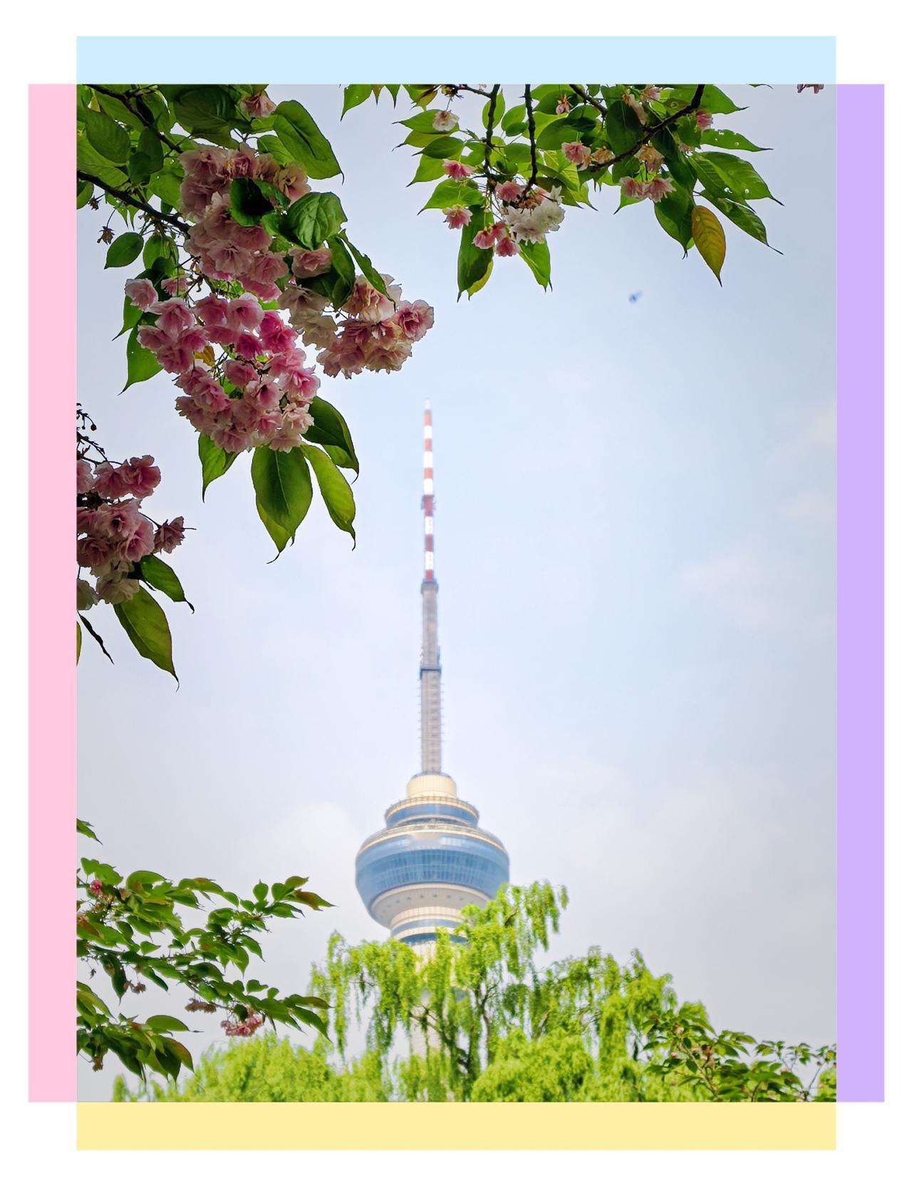 旅行随手拍北京玉渊潭风景