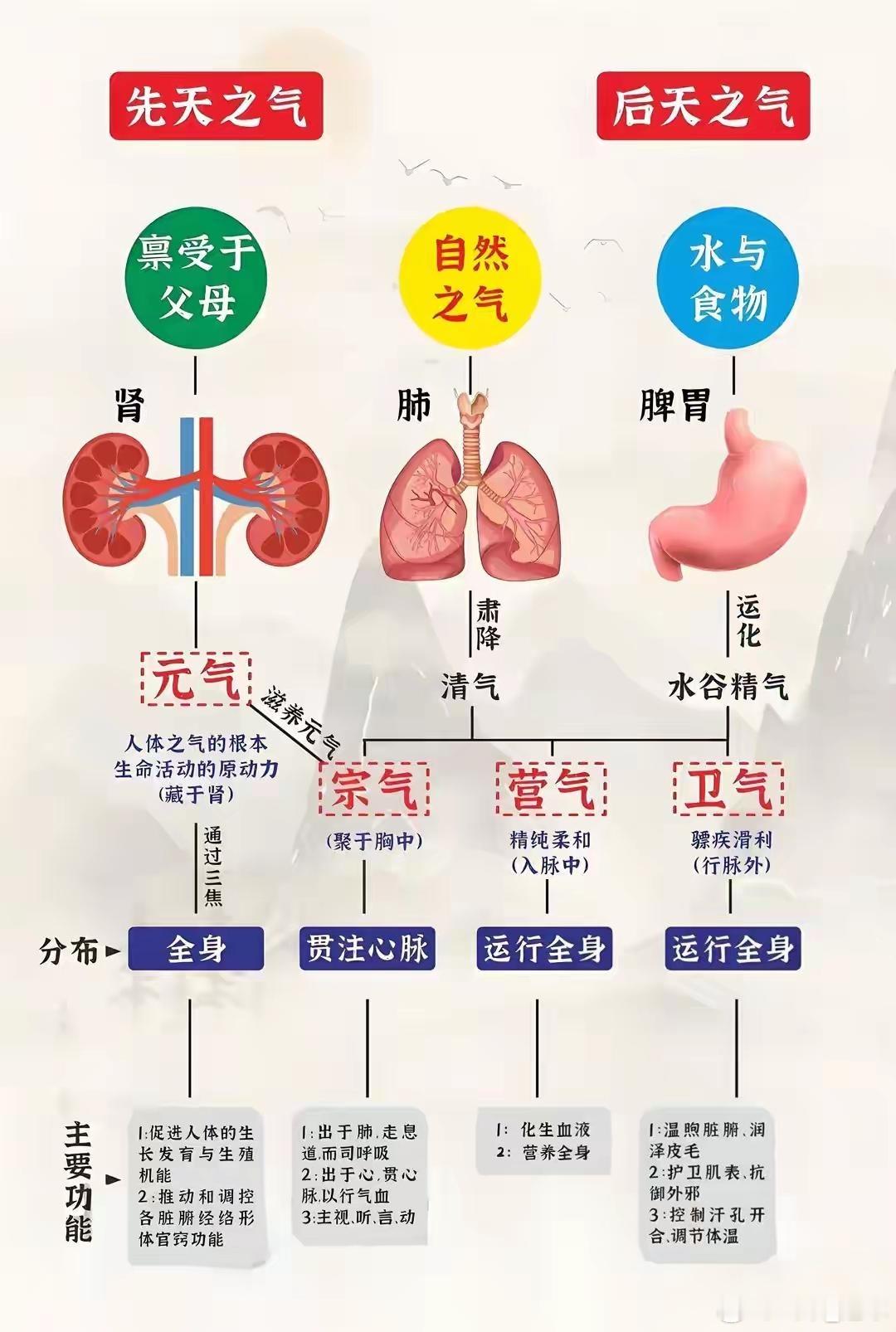 陈士铎解密“肠鸣”：肚子咕噜响的不同原因及对应调理方法肚子里咕噜咕噜叫，大家都