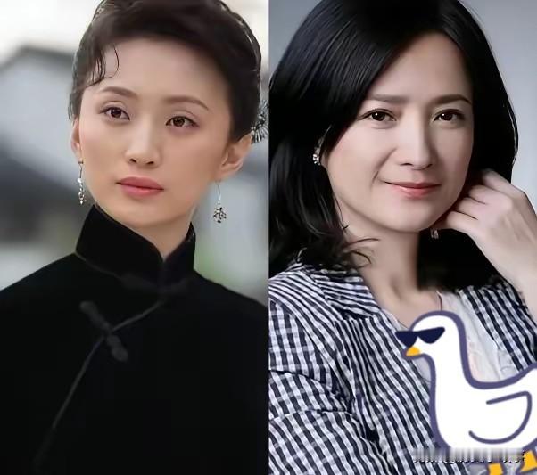 果然男人更懂男人我问老公，何晴和张澍选一个做老婆，你会选谁？我老公说，这两个都