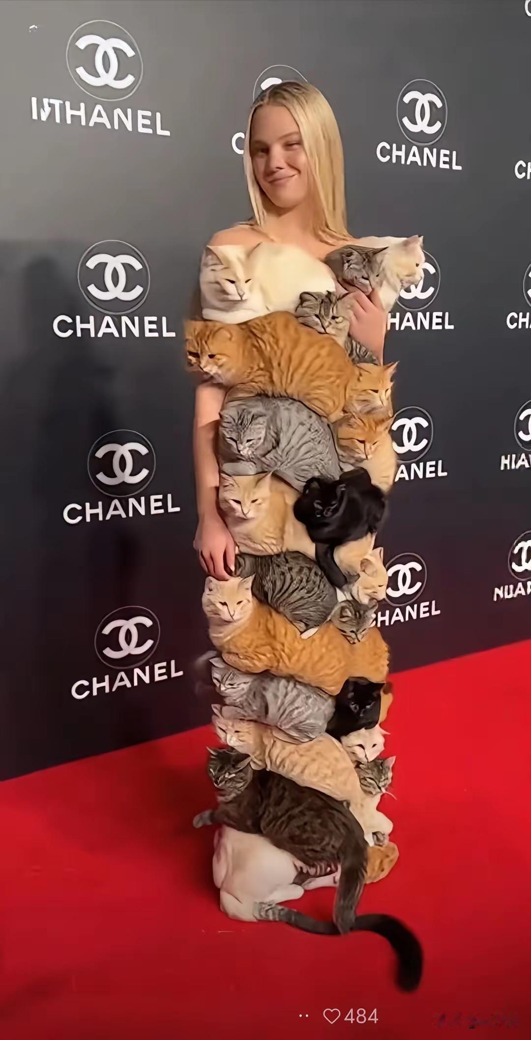 还是外国人会玩，把猫咪穿在身上，逼真到难辨真假。如果是真的那猫咪也太听话了吧，栩