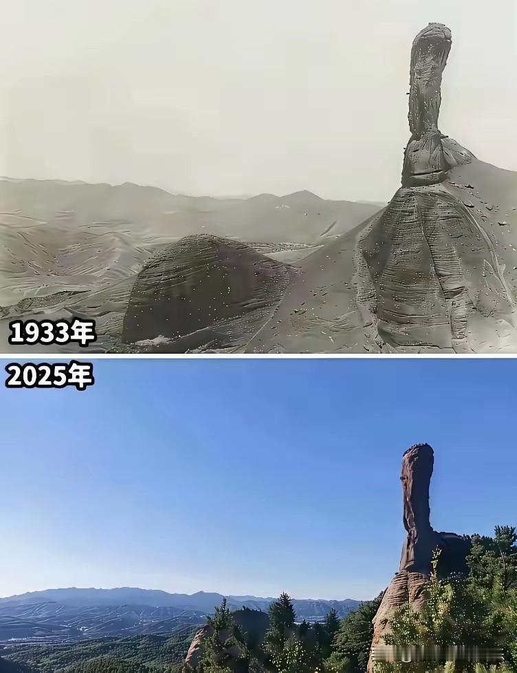 不得不说，没有对比就没有伤害！以前的山上居然是光秃秃的！