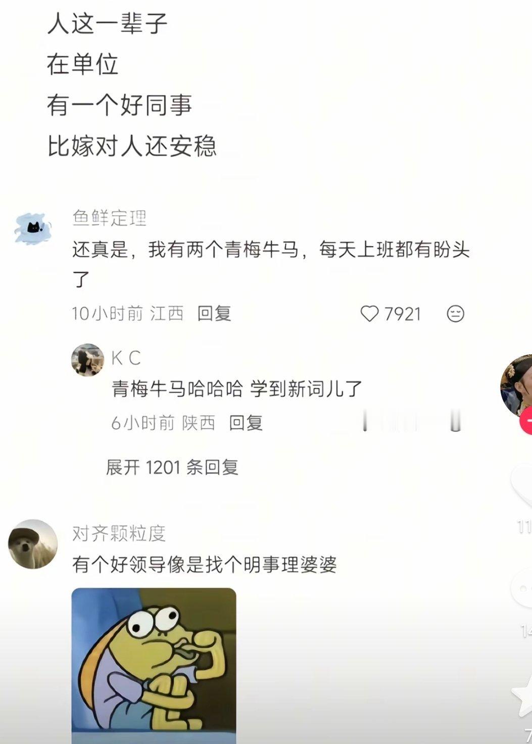 哈哈哈哈哈青梅牛马