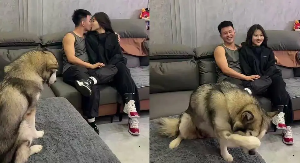 小姐姐真拼，这样真能走红吗？